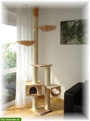 Stabiler Katzenbaum mit Hauslieferung deckenhoch, Fabrikneu