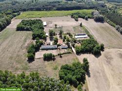 Bild 2: Verkauf: Pferdehof in Ungarn mit G&#228;stezimmer, 8 oder 30 Hektaren Land