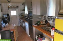 Bild 6: Verkauf: Pferdehof in Ungarn mit G&#228;stezimmer, 8 oder 30 Hektaren Land