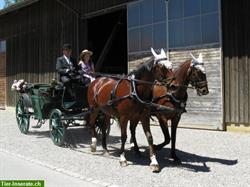 Wagonette, Gesellschaftswagen und Landauer zu verkaufen