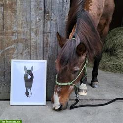Personalisiertes Portrait / Zeichnung von deinem Pferd