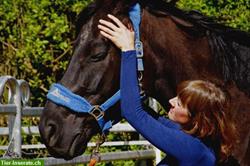 Bild 2: Vital Horse Pferdeosteopathie - Alternative &amp; ganzheitliche Therapie