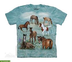 Bild 3: Wundersch&#246;ne Pferde T-Shirts f&#252;r Pferdenarrs