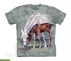 Bild 4: Wundersch&#246;ne Pferde T-Shirts f&#252;r Pferdenarrs