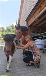Haustier-/Pferde-/Ponybetreuung im ZH-Oberland
