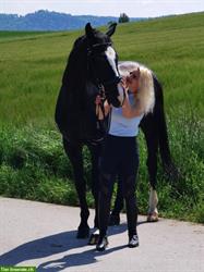 Bild 2: Ausbildung und Beritt f&#252;r Pferd oder Pony