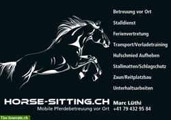 Bild 1: Biete mobile Pferdebetreuung vor Ort - www.horse-sitting.ch