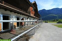 Bild 3: Pferdesportanlage B&#252;nte Flums SG