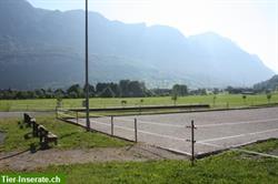 Bild 4: Pferdesportanlage B&#252;nte Flums SG