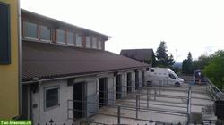 Bild 4: 1 - 5 grosse Auslauf boxen mit Reithalle im Thurgau, 9502