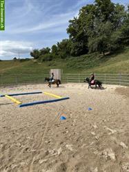 Bild 3: Offenstall f&#252;r 3-4 Pferde/Pony in Zeglingen, Baselland