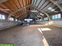 Bild 6: Pferdebox frei Innen oder mit Einzelauslauf in Oberdiessbach