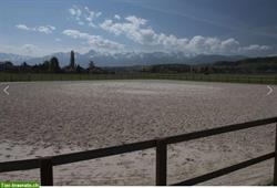 Bild 3: Freie Pensionspl&#228;tze, grosse Pferdeboxen in Wichtrach zu vermieten