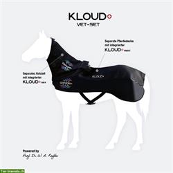 Centropix Magnetfeldanwendung für Ihr Pferd