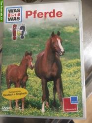 Info-DVD alles über Pferde zu verkaufen