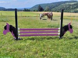 Bild 3: Neue Hindernisst&#228;nder / Sprungst&#228;nder, verschiedene Farben