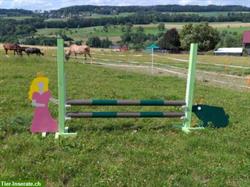 Bild 4: Neue Hindernisst&#228;nder / Sprungst&#228;nder, verschiedene Farben
