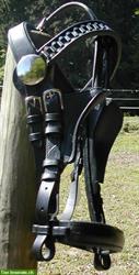 Bild 2: Sch&#246;ne neue Blinker Fahrz&#228;ume