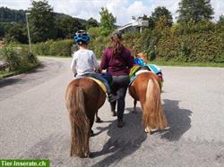 Bild 3: Reit- und Pflegebeteiligungen zu vergeben, Natural Horsemanship