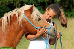 Bild 4: Reit- und Pflegebeteiligungen zu vergeben, Natural Horsemanship