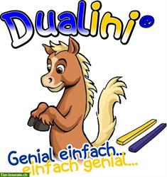 Bild 1: Kurs: Dualini f&#252;r Kinder Duaktivierung Equikinetic in Richterswil