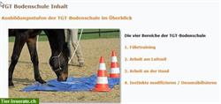 Bild 3: Kurs: Dualini f&#252;r Kinder Duaktivierung Equikinetic in Richterswil