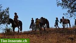 Reitlager: Horsemanship Kinder- und Jugendcamp