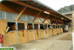 Bild 4: Reiterferien mit dem eigenen Pferd in Tirol/&#214;sterreich