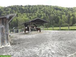 Bild 7: Reiterferien mit dem eigenen Pferd in Tirol/&#214;sterreich