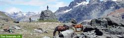 Reitferien, Pferdetrekking und Erlebnisaufenhalte Patagonien Argentinien