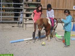 Bild 8: Reiten f&#252;r Kinder &amp; Erwachsene, Ausbildung von Pferden &amp; Ponys