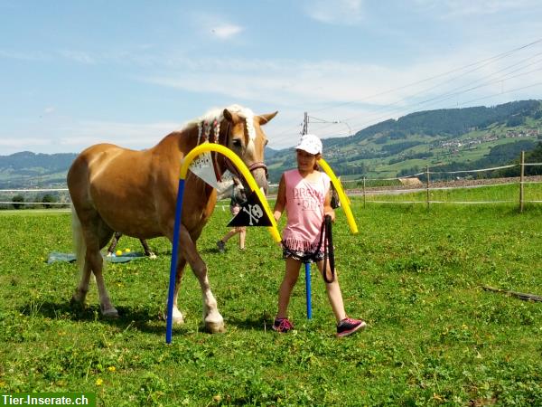 Reitunterricht, Ponyplausch & geführte Ausritte für Kids ab 5 Jahren