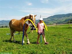 Bild 4: Bodenarbeits- und Horsemanship Unterricht