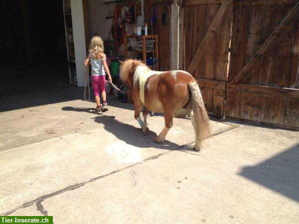 Kinder Reitunterricht mit Pferd und Pony im Thurgau