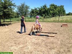 Bild 2: Kinder Reitunterricht mit Pferd und Pony im Thurgau
