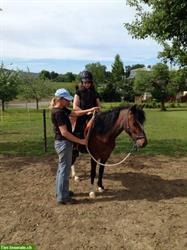 Bild 3: Kinder Reitunterricht mit Pferd und Pony im Thurgau