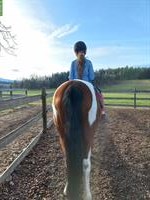 Bild 2: Biete Reittherapie / Heilp&#228;dagogisches Reiten / Coaching