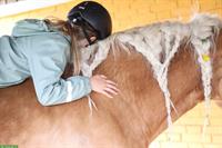 Bild 7: Biete Reittherapie / Heilp&#228;dagogisches Reiten / Coaching