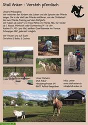 Pferde-ABC Kurse für Kinder im Züri Oberland