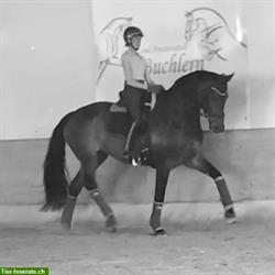 Bild 1: Dressurausbildung f&#252;r Pferd und Reiter