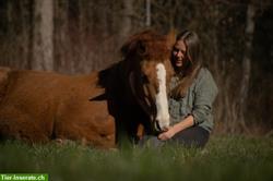 Pferde Verhaltenstraining - Verhaltensauffälligkeiten - Probleme