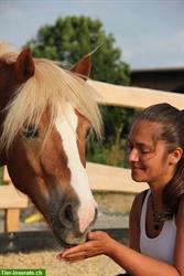 Pferdeflüstern für Kinder | ganzheitlicher Unterricht mit Ponys