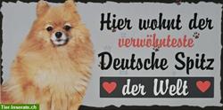 Hunde Holzschild, Deutscher Spitz