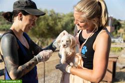 Suchen Tierpfleger/in oder Tierarztassistent/in | Kos, Griechenland