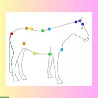 Bild 3: Jiyuma Harmony | Herzensruhe f&#252;r Mensch und Tier