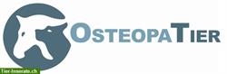 Osteopathie durch die Tierärztin