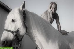 Bild 5: Mobile Tierarzt Akupunktur, Chiropraktik/Osteopathie, Pferdezahnbehandlung