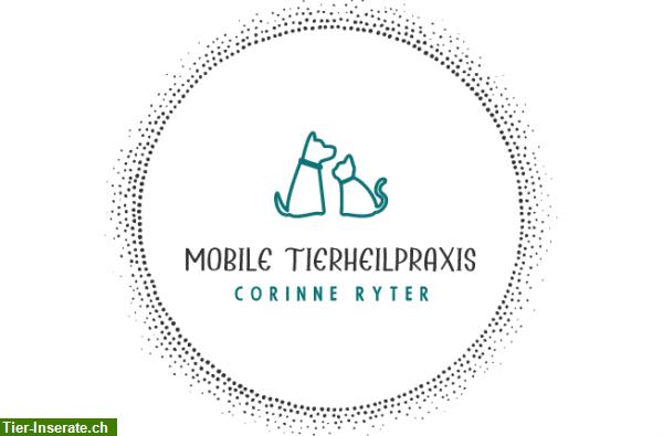 Mobile Tierheilpraxis