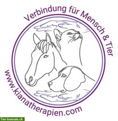 Verbindung für Mensch & Tier, Reiki-Behandlungen & Tierkommunikation