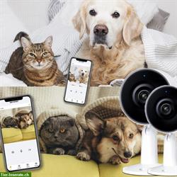 Schützen Sie Ihre Haustiere mit unseren Babyphone-Kameras